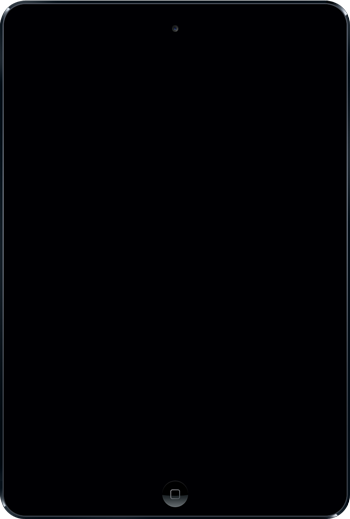 Product display image: iPad Mini portrait